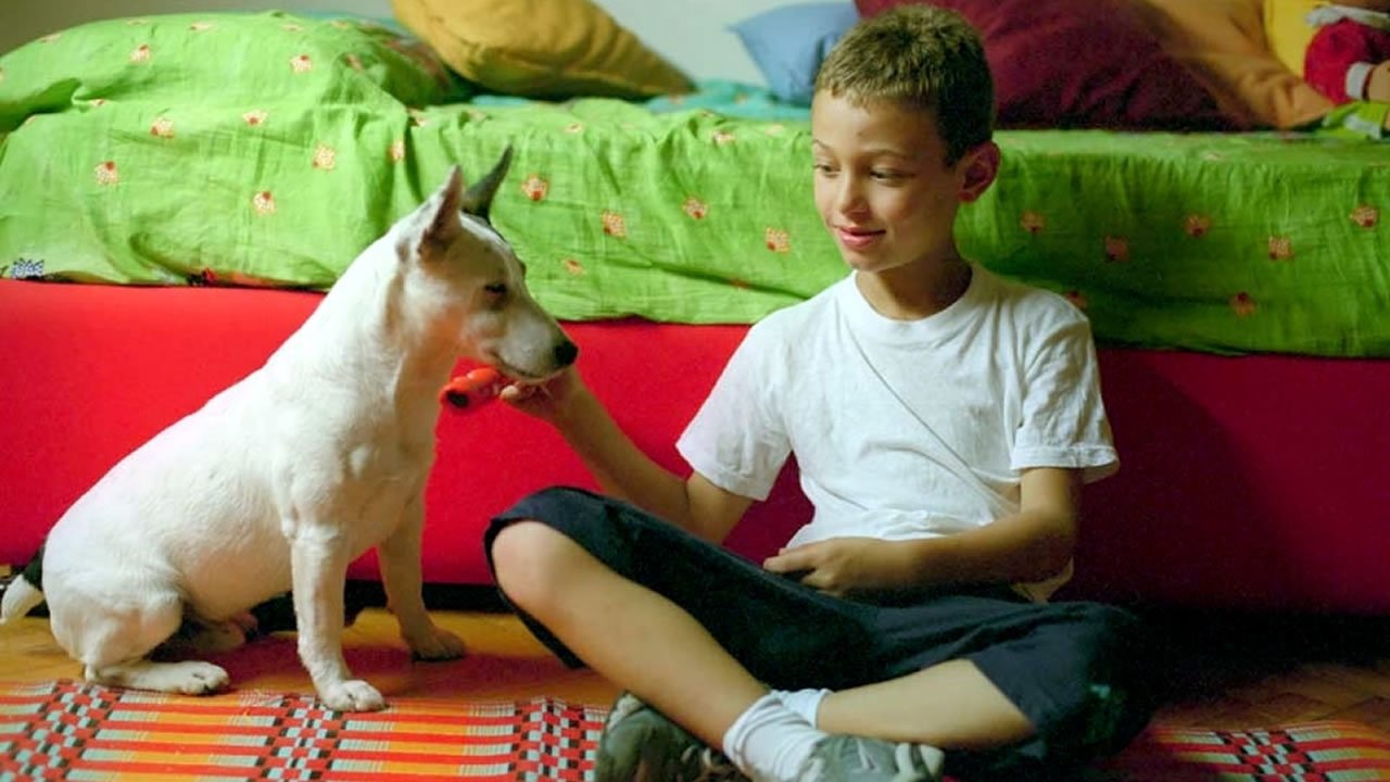 Кадр з фільму